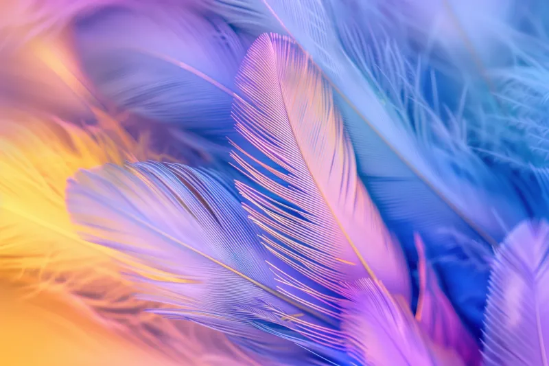 Feathers, Aesthetic wallpaper 5K, Colorful background