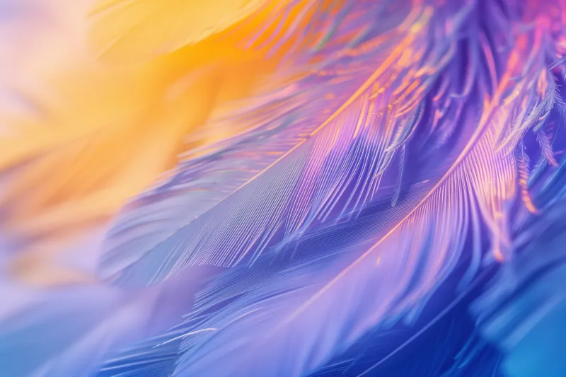 Feathers, Purple aesthetic, 5K wallpaper