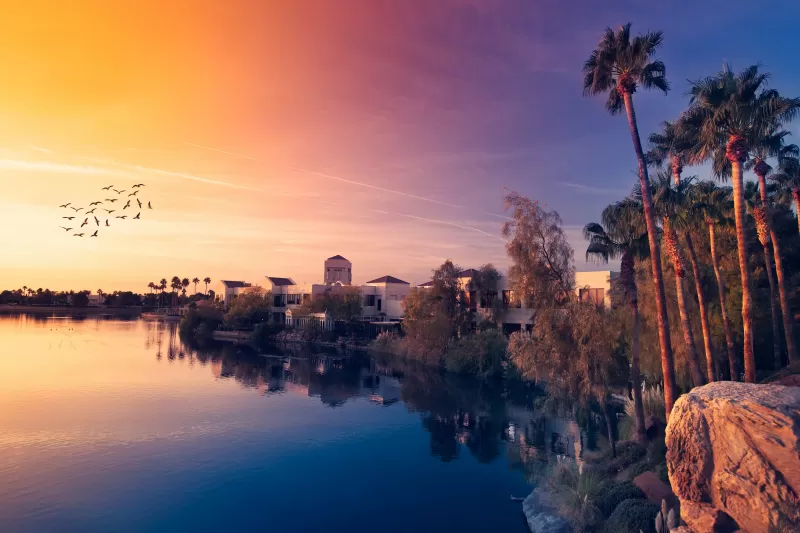 Palm trees sunset, Lakeside resort, Flying birds, HD wallpaper