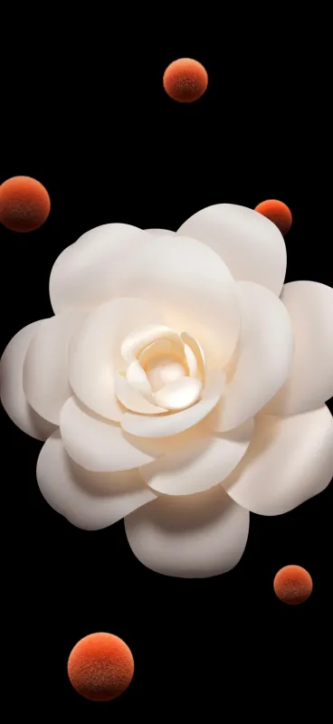 Honor Magic V Flip, White flower