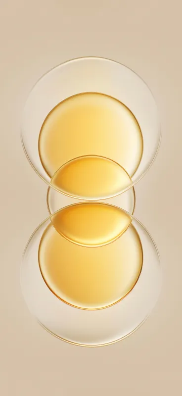 Honor Magic V Flip, Stock wallpaper