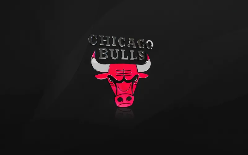 Chicago Bulls, Dark background, Basketball team, Logo, 5K wallpaper