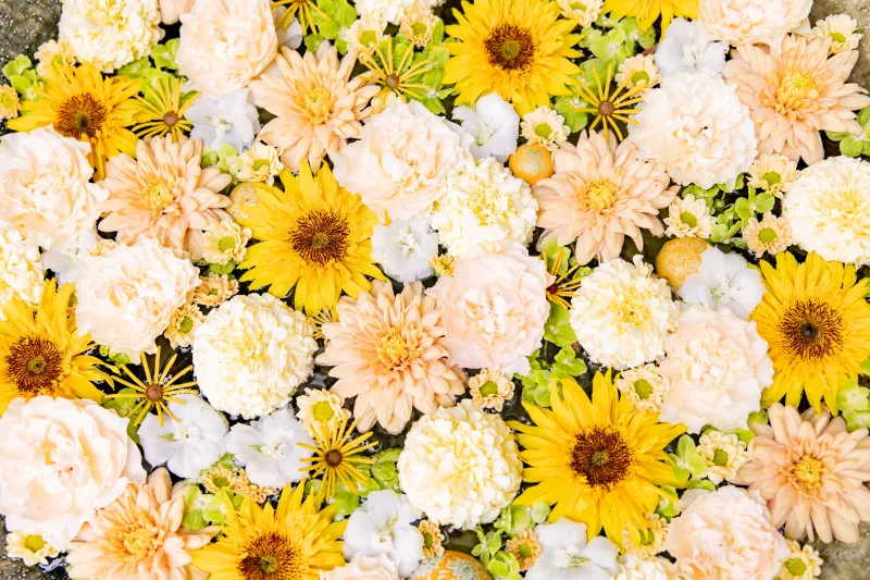 Yellow and peach flowers wallpaper, Sunflowers, Bouquet