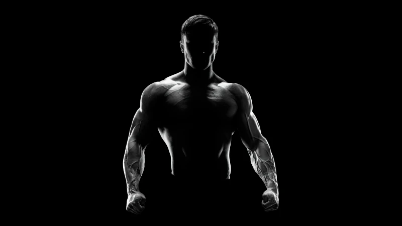 Bodybuilder silhouette, Black background, AMOLED, 5K wallpaper