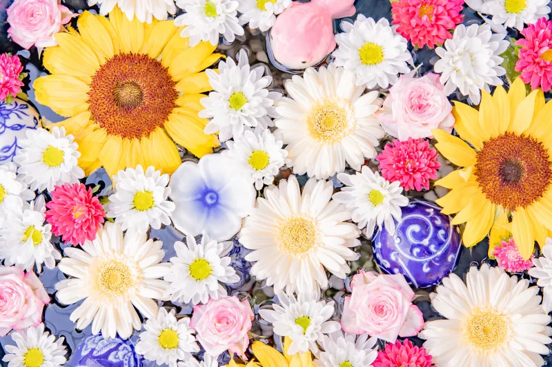 Sunflowers and daisies, Colorful flowers, Floral, 4K wallpaper