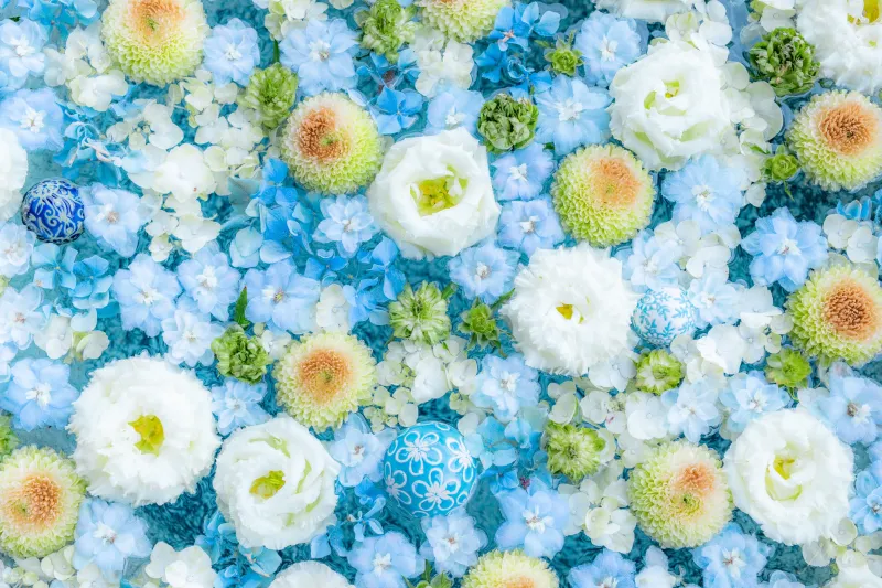 Blue and white flowers wallpaper, Floral, Light blue