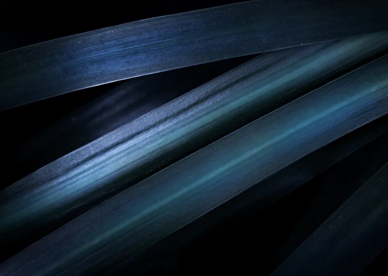Teal leaf blades wallpaper, Dark macro, Pattern