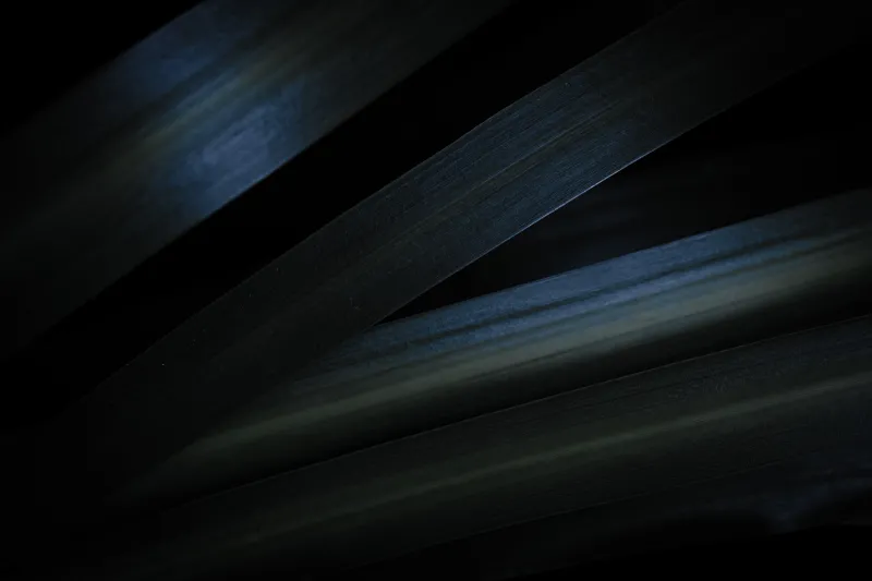 Dark leaf blades, Macro, Moody green, 5K wallpaper