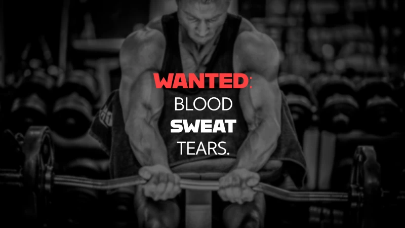 Blood Sweat Tears, Gym motivation, Bodybuilding, 5K wallpaper