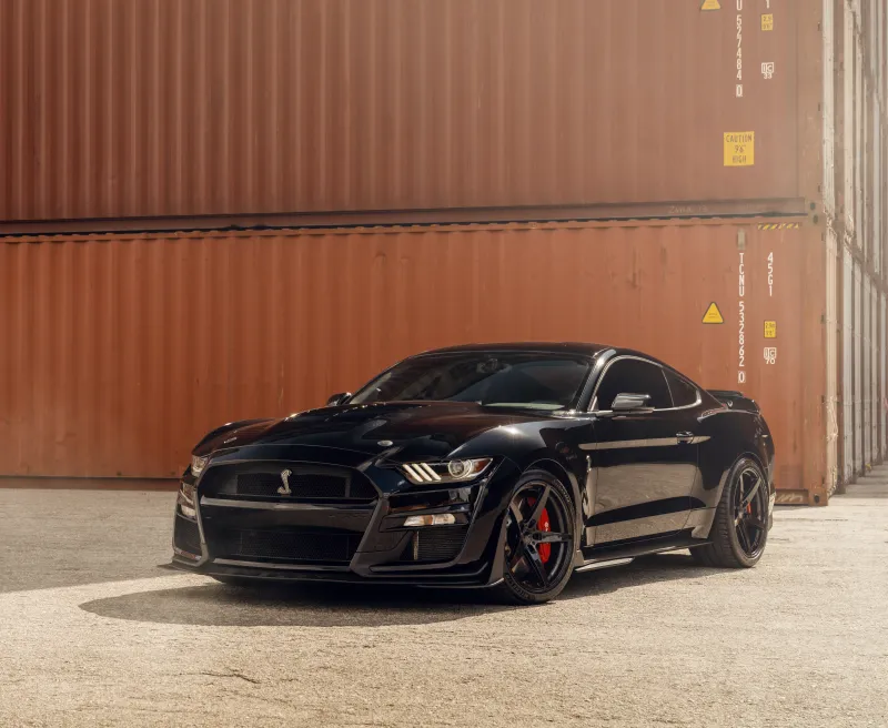 Shelby GT500, 8K wallpaper, Outdoor, Ford Mustang Shelby GT500, 5K, Black cars