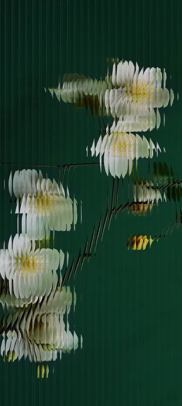Xiaomi Mix Flip, Floral designs