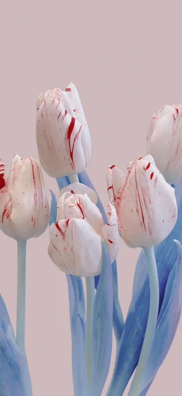 Xiaomi Mix Flip, White tulips