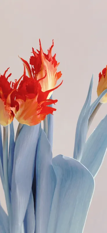 Xiaomi Mix Flip, Flower wallpaper