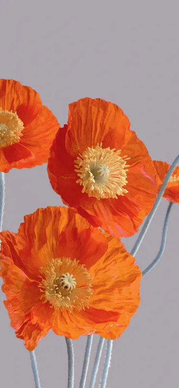 Xiaomi Mix Flip, Floral Background