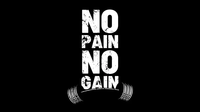 No pain No gain, Popular quotes, Gym quotes, Black background 5K