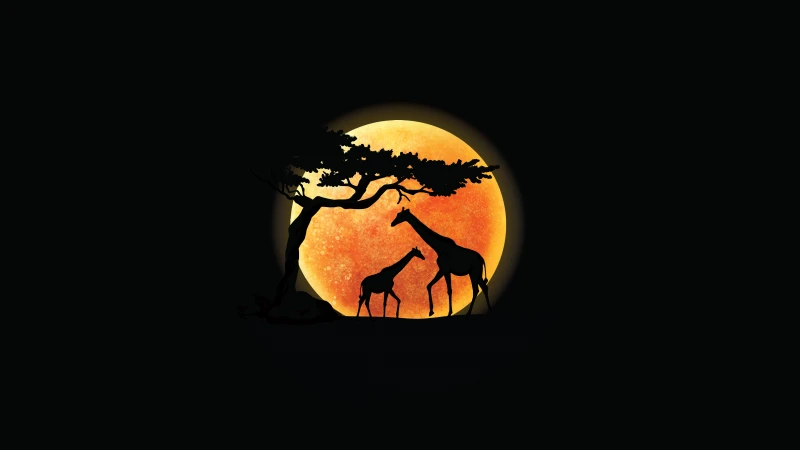 Giraffe, Silhouette, Sunset, AMOLED Black background 5K, Minimalist