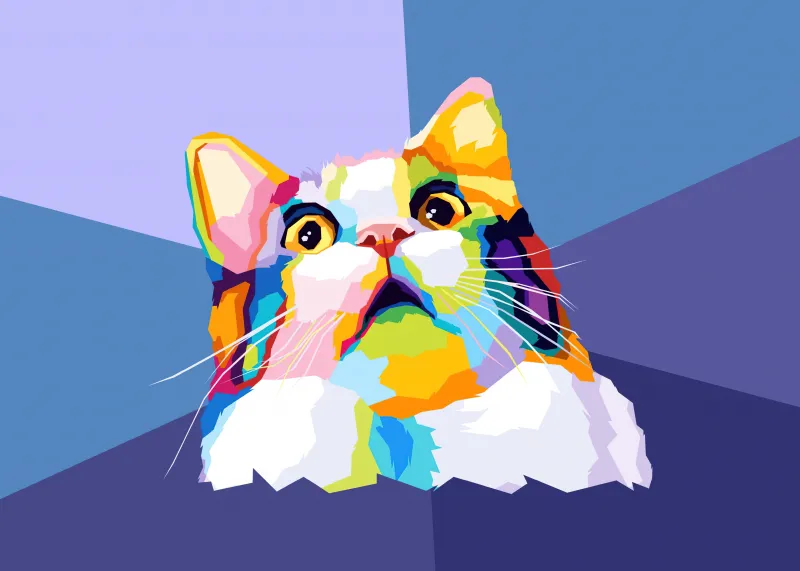 Surprise cat, Meme wallpaper, Pop Art