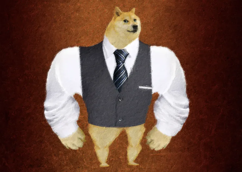 Doge Meme wallpaper