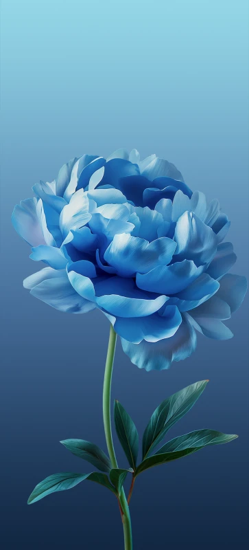 ColorOS 15, Stock wallpaper
