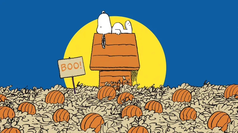 Snoopy Halloween, Halloween pumpkins, Halloween background 5K