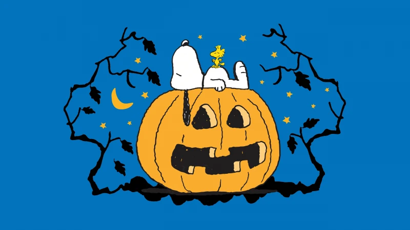 Snoopy Halloween Pumpkin, Blue background 5K