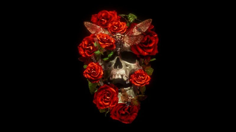 Skull wrapped in red roses wallpaper, AMOLED, Black background