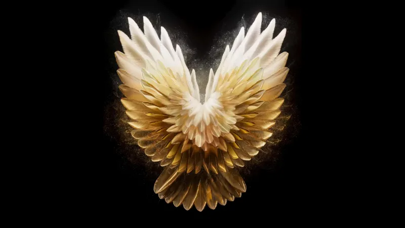 Angel wings, Golden yellow, Black background 5K