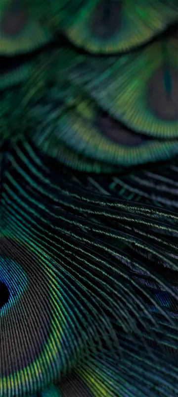 HyperOS 2.0, Stock wallpaper HD