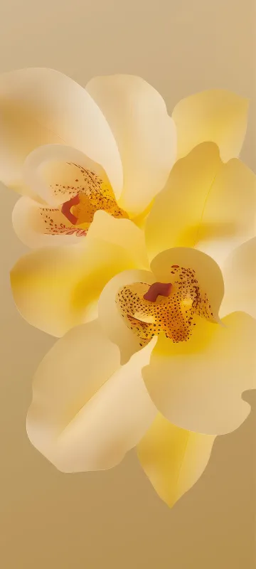 Infinix Smart 9, Stock wallpaper HD