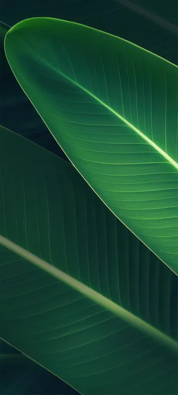 Infinix Smart 9, Stock wallpaper HD