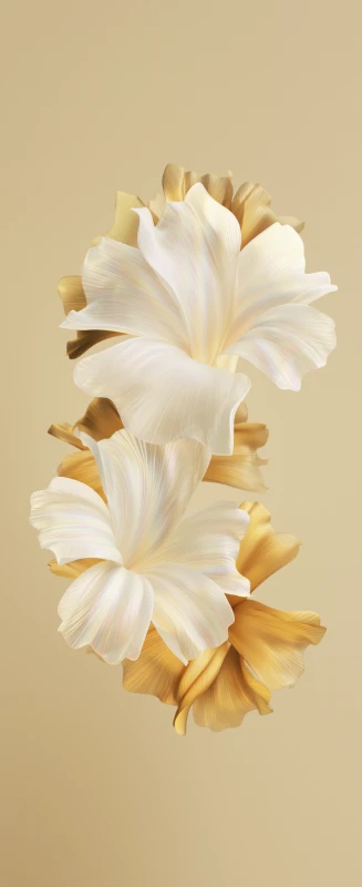 Infinix Zero Mini, Stock wallpaper