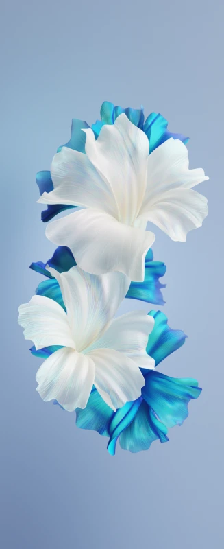 Infinix Zero Mini, Stock wallpaper