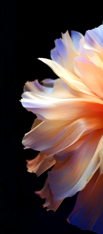 Tecno Camon 40, Stock wallpaper