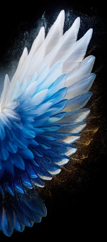 Tecno Camon 40, Stock wallpaper