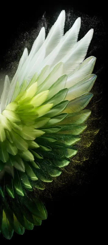Tecno Camon 40, Stock wallpaper