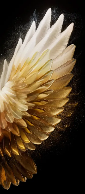 Tecno Camon 40, Stock wallpaper