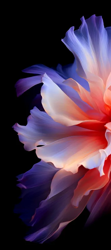 Tecno Camon 40, Stock wallpaper