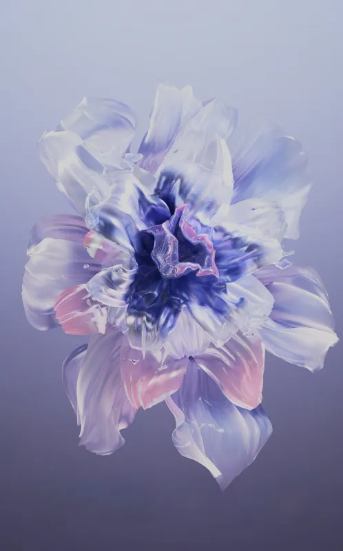 Huawei Pura X, Stock wallpaper