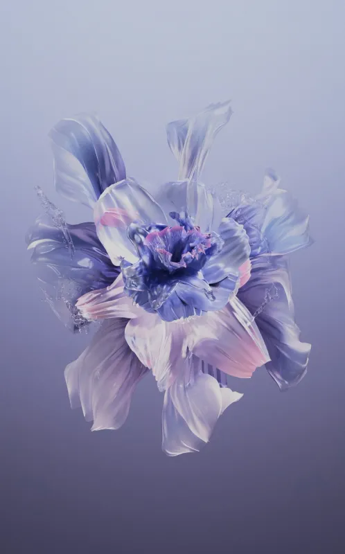 Huawei Pura X, Stock wallpaper