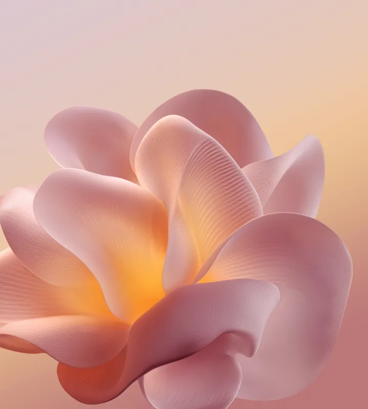 Motorola Edge 60 Pro, Stock wallpaper