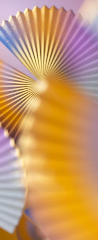 Samsung W25 Flip, Stock wallpaper