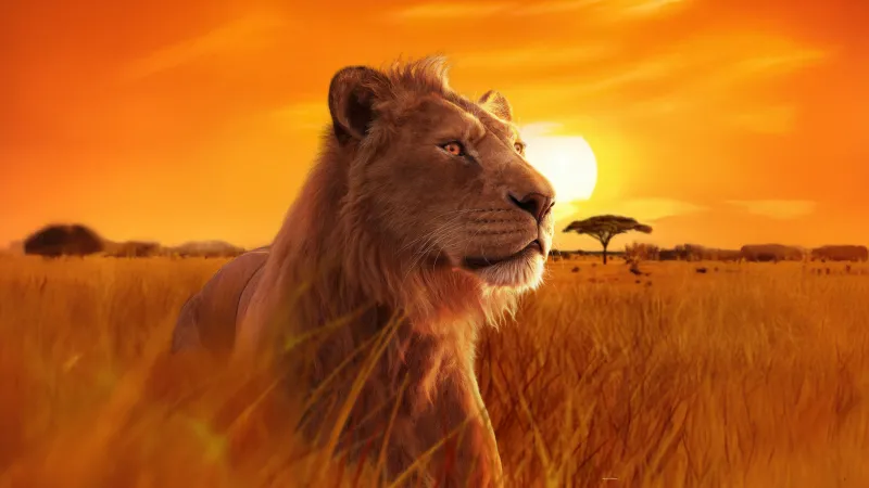 Mufasa, 5K wallpaper, Mufasa: The Lion King