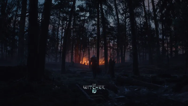 The Witcher IV Dark Forest, Ciri wallpaper