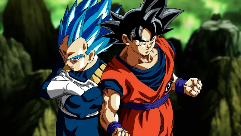 Vegeta and Son Goku, Dragon Ball Super