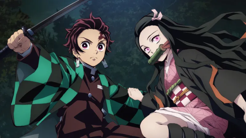 Tanjiro Kamado, Nezuko Kamado, Demon Slayer: Kimetsu no Yaiba