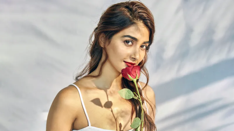 Pooja Hegde, Rose Flower Wallpaper, 5K Wallpaper, Indian Actress
