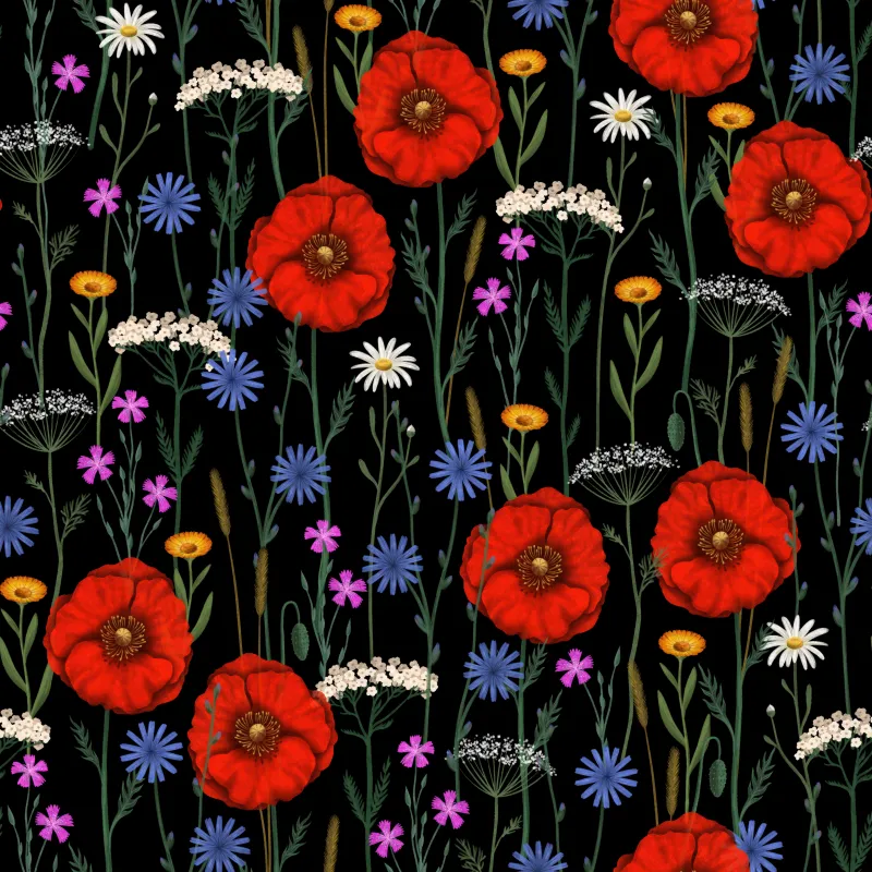 Wildflower pattern wallpaper, Red poppies, Black background