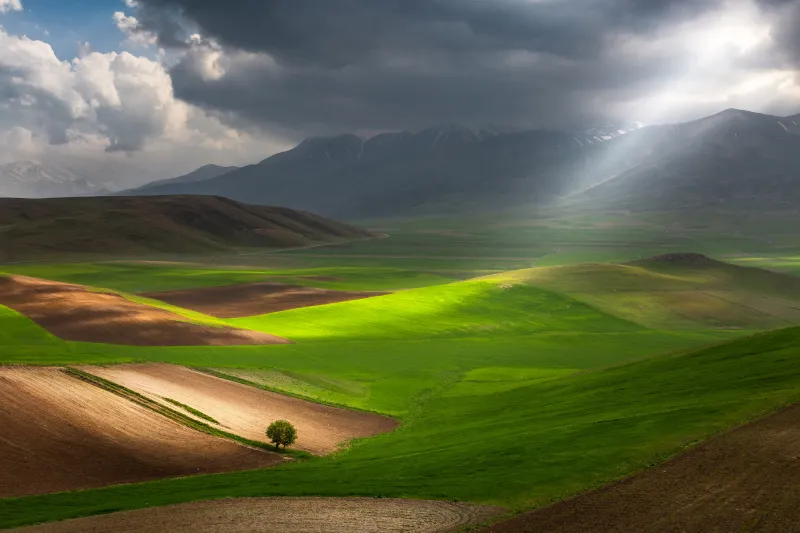Sibillini National Park wallpaper, Lone tree, Sunbeams, Italy