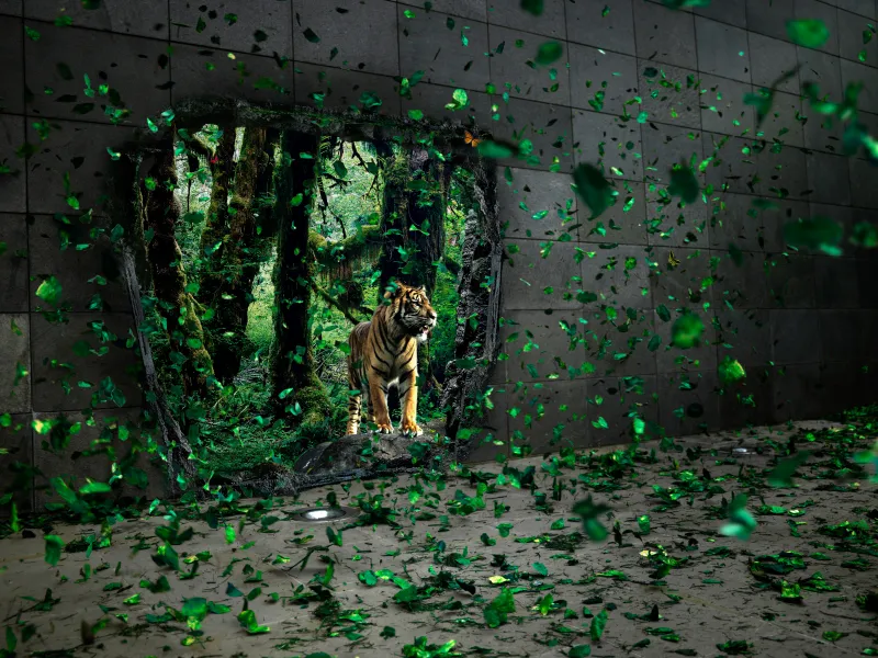 Tiger, Mystical Forest, Jungle, Wildlife, Portal