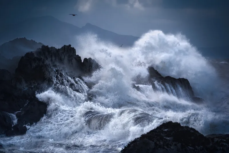 Stormy waves crashing on rocks wallpaper, Dramatic seascape, Seabirds